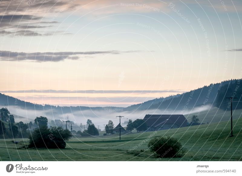 Früh Tourismus Ausflug Strommast Natur Landschaft Urelemente Himmel Horizont Sommer Schönes Wetter Nebel Baum Sträucher Wiese Wald Hügel Haus frisch schön