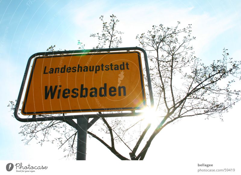 place to be gelb Wiesbaden Sonnenstrahlen weiß braun bezeichnend Stadt blau Himmel Schilder & Markierungen sonne baum Ast Zweig standfest Außenaufnahme