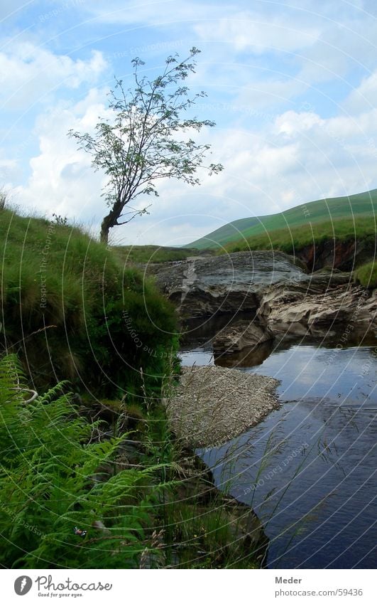 Waliser Idylle Luft Gras Hügel Wildnis Gelassenheit Ferien & Urlaub & Reisen ruhig Baum grün Sommer Menschenleer Freizeit & Hobby Umwelt Wolken Wattewölkchen