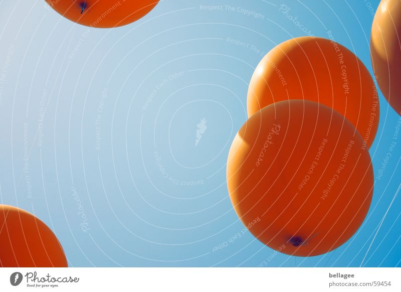 flieg3 Schnur Lebensfreude Luftballon fliegen Froschperspektive Gummi orange blau Himmel Luftverkehr Seil aufwärts Knoten