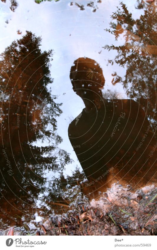 Wo ist die Fotografin? Reflexion & Spiegelung Pfütze dreckig Schlamm Baum Mann Wolken grün braun weiß Sonnenlicht Licht schwarz dunkel Wasser Mensch Himmel blau