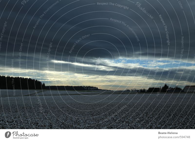 Erstes 2014 | der Tag erwacht Umwelt Natur Landschaft Himmel Wolken Winter Wetter schlechtes Wetter Eis Frost Schnee Feld Dorf Menschenleer Haus Gebäude