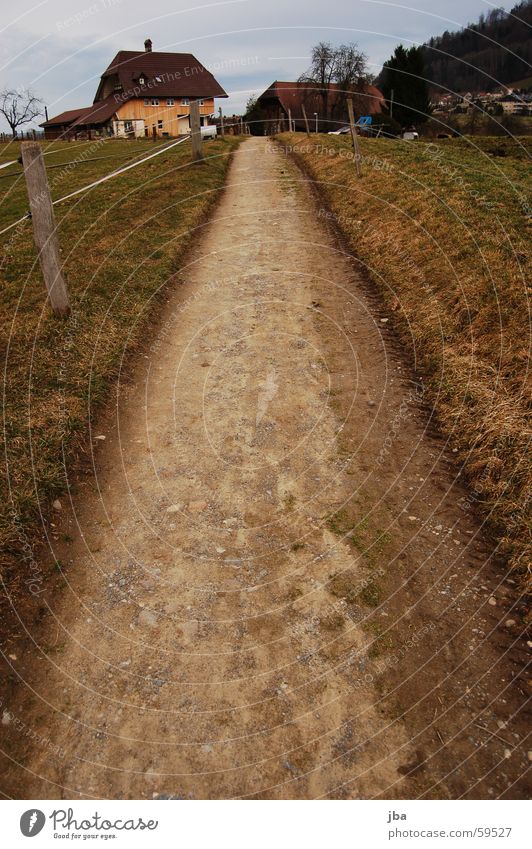 Feldweg Fußweg Gras Zaun Zaunpfahl Holz Haus Holzhaus Fenster Baum Weitwinkel Blick nach unten Wege & Pfade Straße Stein Erde zwickzaun Himmel Bodenbelag Kies