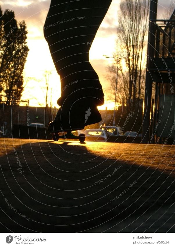 nose manual Skateboarding Sonnenuntergang nosemanual fun Coolness ocean