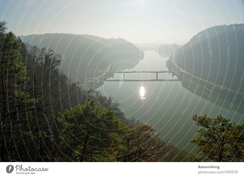 eine Brücke bauen Umwelt Natur Landschaft Pflanze Himmel Wolkenloser Himmel Horizont Sonne Sonnenaufgang Sonnenuntergang Herbst Wetter Schönes Wetter Baum Wald