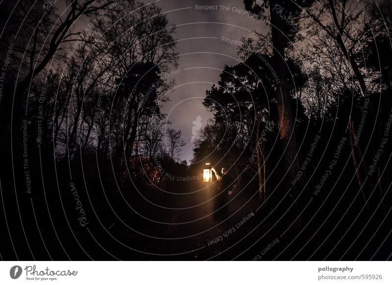 lantern (7) Mensch maskulin Junger Mann Jugendliche Erwachsene Leben Körper 1 18-30 Jahre Natur Landschaft Pflanze Himmel Wolken Herbst Winter Baum Sträucher