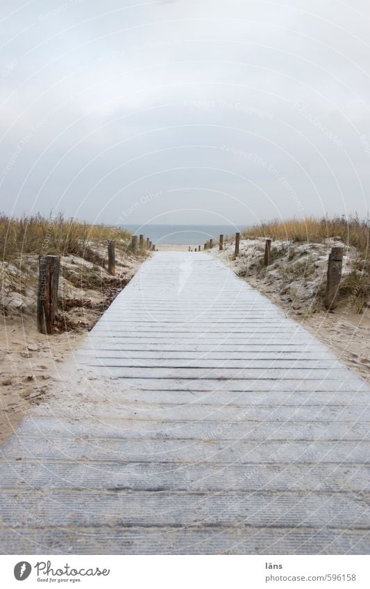 der Weg zu mir Umwelt Natur Landschaft Erde Sand Luft Wasser Himmel Wolken Winter Eis Frost Gras Küste Strand Ostsee Beginn Zufriedenheit Einsamkeit Erholung