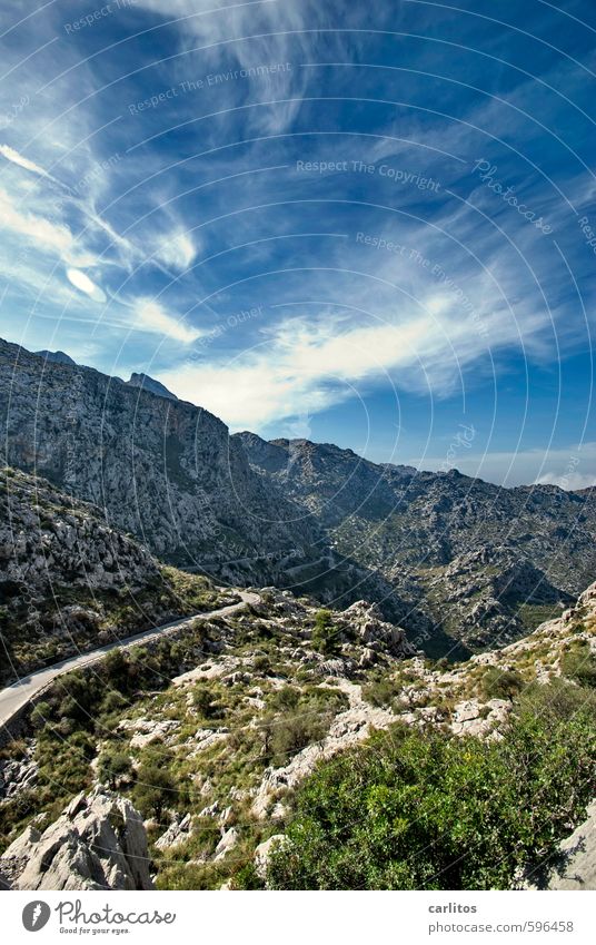 Erstes 2014 | Beste Aussichten Umwelt Natur Landschaft Erde Luft Himmel Sonnenlicht Sommer Schönes Wetter Wärme Pflanze Baum Sträucher Felsen Berge u. Gebirge