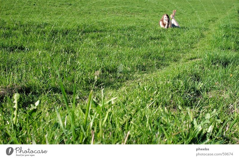 grÜn so viel grÜn Wiese grün Gras Frau Feld Halm Rasen Schatten Wege & Pfade liegen