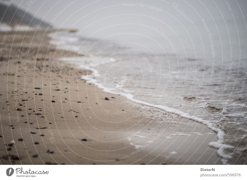 Leere Strand Meer Winter Landschaft Sand Wasser Wolken Horizont Küste Ostsee Stein braun weiß Mecklenburg-Vorpommern Farbfoto Außenaufnahme Menschenleer