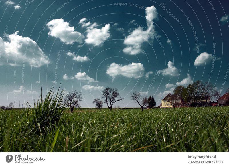 haus bäume gras Länder Haus Baum Wiese Gras Feld Wolken country Landschaft Himmel