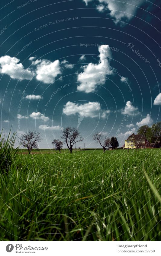 haus bäume gras hoch Länder Gras Wiese Baum Wolken country Landschaft Himmel