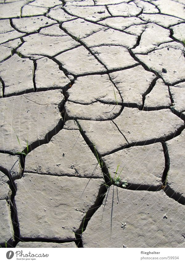 trockenzeit Schlamm Physik Sommer Schweiz Kanton Uri Hoffnung Unwetter Halm Gras Wärme dünn Riss Wüste Wasser Überschwemmung Strukturen & Formen