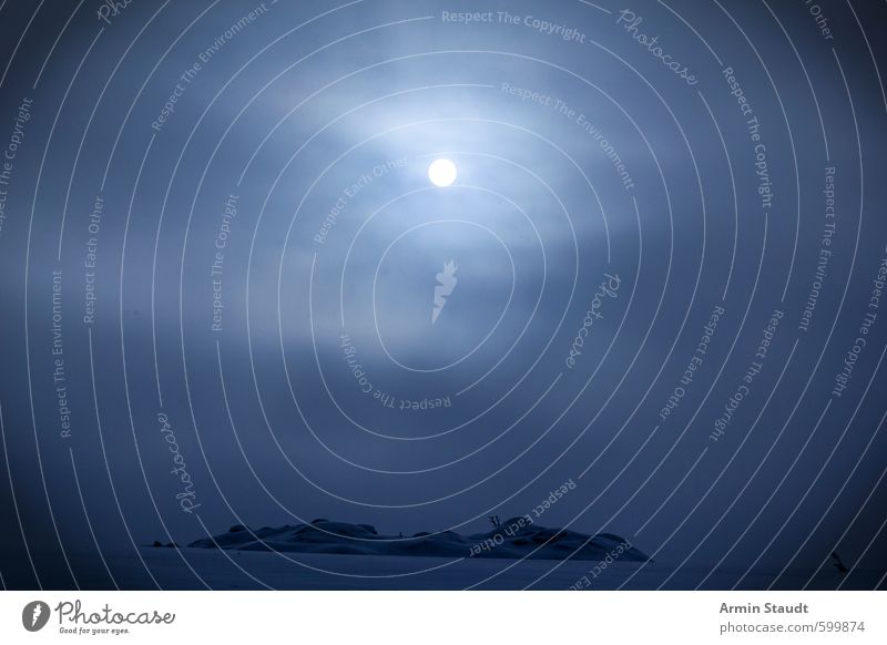 Nebliger Wintermoment Schnee Natur Landschaft Himmel Nachthimmel Sonne Mond schlechtes Wetter Nebel Eis Frost Feld frieren außergewöhnlich gruselig kalt blau