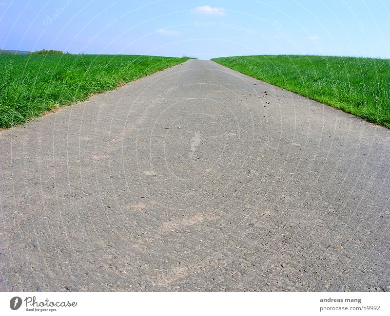 Feldweg Fußweg Gras grün Wiese lang Ferne Himmel Einsamkeit Teer Asphalt Wege & Pfade Straße way field sky road lone lonely