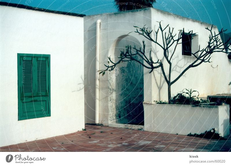 jemand zu hause? Haus Fensterladen Baum weiß Mauer Lanzarote Tür