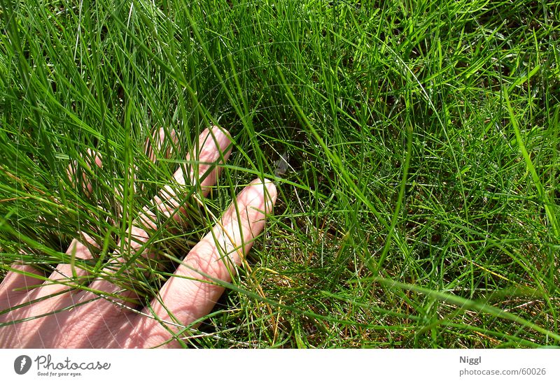 Hand im Grasraum Wiese grün Finger Sommer Weltmeisterschaft Rasen Natur niggl