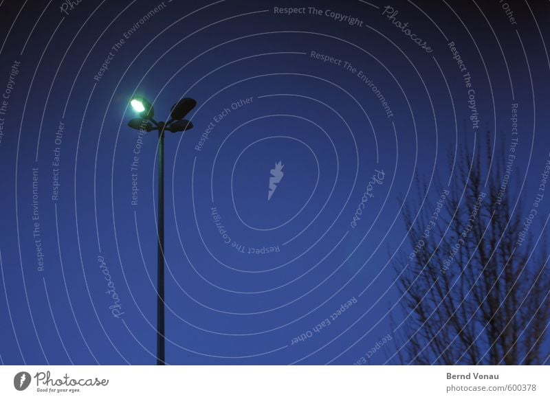 Sparlampe Stadt Stadtzentrum Parkplatz Parkplatzbeleuchtung dunkel blau schwarz weiß Baum Zweige u. Äste Straßenbeleuchtung Laternenpfahl sparen Energie