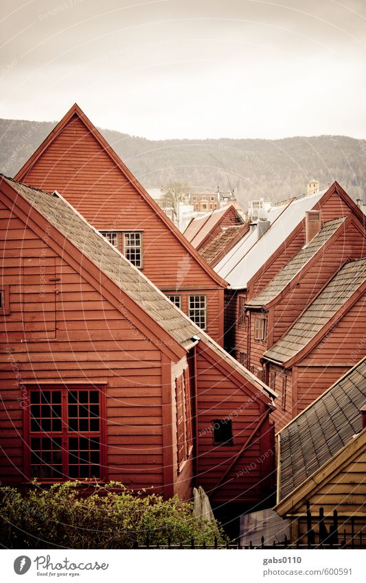 Bryggen Hausbau Dorf Fischerdorf Holz träumen Häusliches Leben alt historisch nachhaltig rot Farbe Idylle Stadt Holzhaus Bergen Bergen-Bryggen Dach Fenster