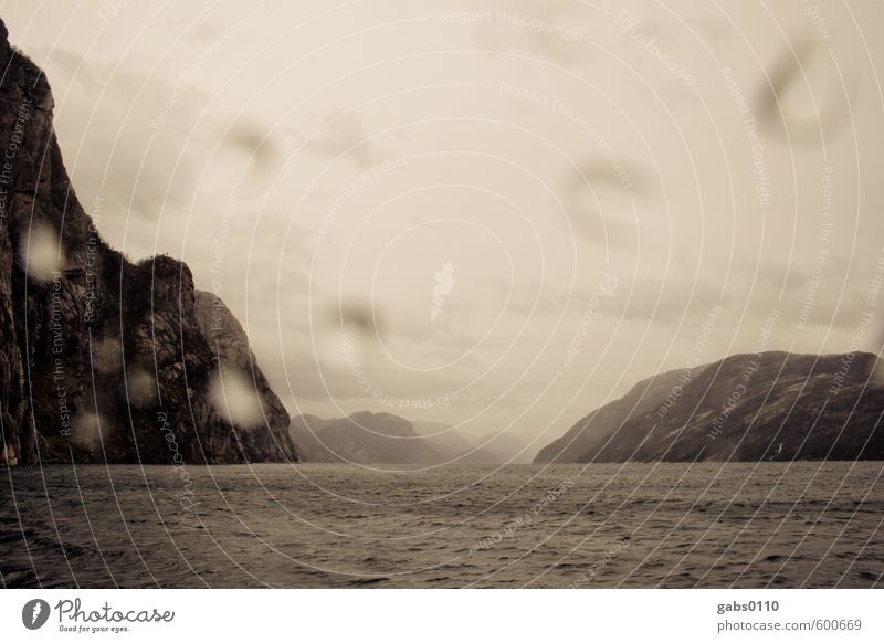 Fjord IV Umwelt Natur Landschaft Wolken Herbst schlechtes Wetter Nebel Baum Felsen Wellen Küste Seeufer Bucht außergewöhnlich bedrohlich Ferne gigantisch nass