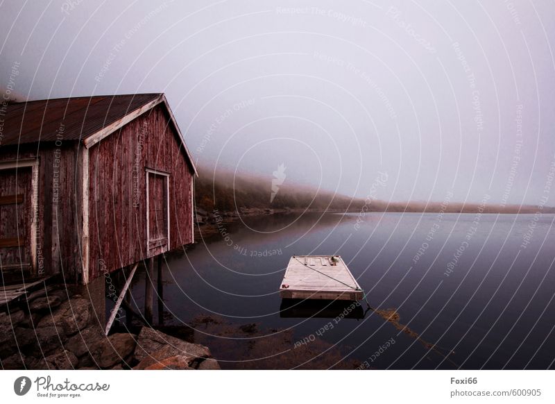 Stillstand Ferien & Urlaub & Reisen Abenteuer Natur Wasser Himmel Herbst Nebel Sträucher Küste Fjord Norwegen Dorf Menschenleer Hütte Floß Steg Bootshaus