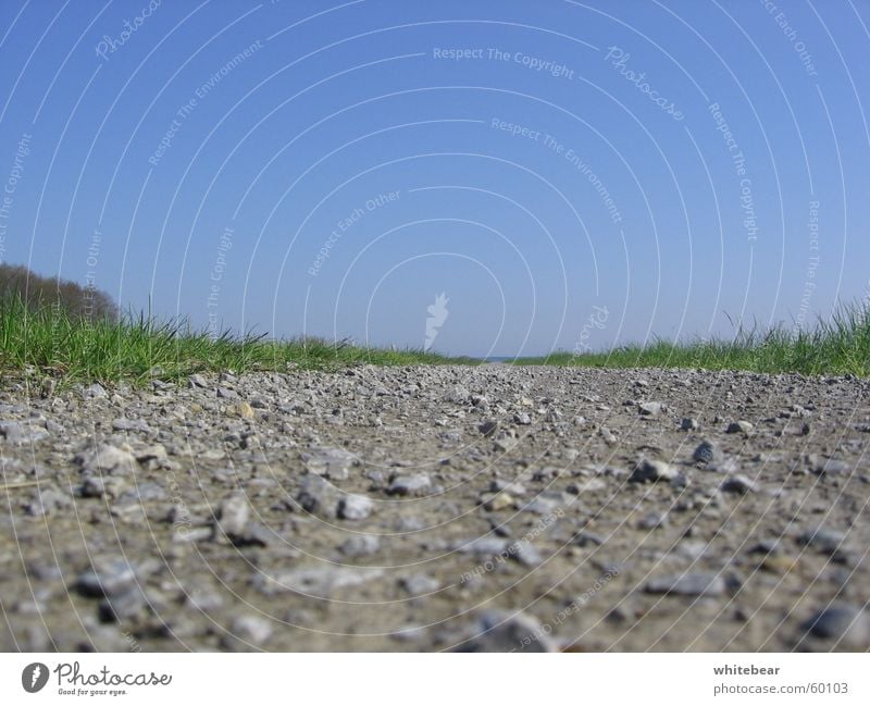 Der Weg Wiese schön Wege & Pfade Straße Stein Rasen Bodenbelag Erde Himmel Natur Kies