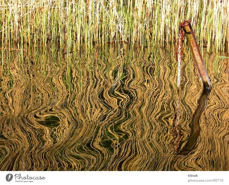 Spiegelung Schilfrohr Reflexion & Spiegelung See Wellen Ankerplatz Eisen Muster kräuseln Wasser Küste Steg Rost