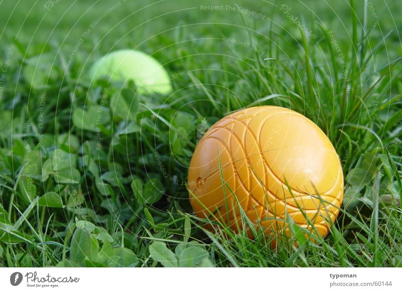 Spiel mit! fangen gelb Physik grün hellgrün Freizeit & Hobby Gras Spielen Spielzeug Boule Kinderspiel Gesellschaft (Soziologie) Partnerschaft Vordergrund