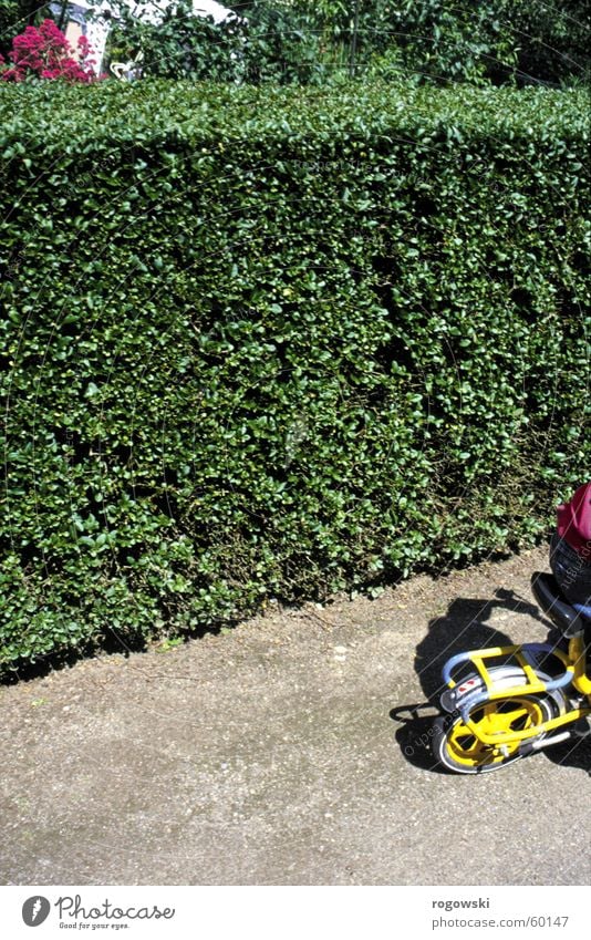 Irrgarten Kind Kinderfahrrad Hecke Wege & Pfade schrebergaten Kontrast