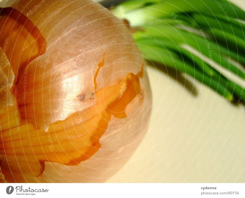 Zwiebel Wachstum Reifezeit grün glänzend Ernährung abblättern Schalen & Schüsseln Lebensmittel Gemüse Detailaufnahme Makroaufnahme