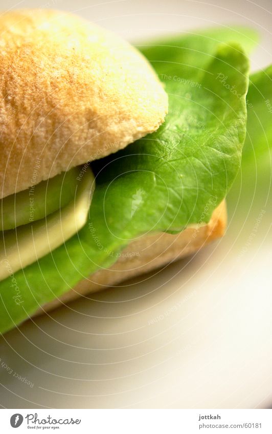 lecker Brot part II Lebensmittel Käse Milcherzeugnisse Salat Salatbeilage Getreide Teigwaren Backwaren Brötchen Ernährung Abendessen Vegetarische Ernährung