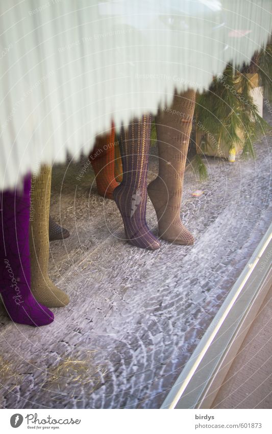 Beinkleider kaufen Stil Design Schaufenster Mode Strumpfhose Schaufensterpuppe stehen Erfolg einzigartig positiv feminin schön Beine Farbfoto Außenaufnahme