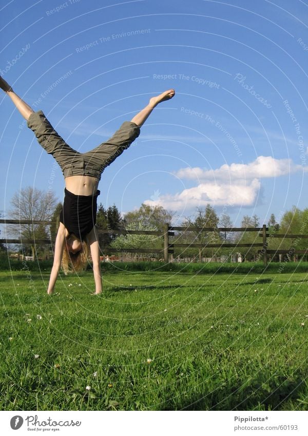 hoch hinaus Handstand Wiese Fröhlichkeit Sommer Wolken Zaun Turnen auf dem Kopf Freude Blauer Himmel Sport Mensch frei Freiheit