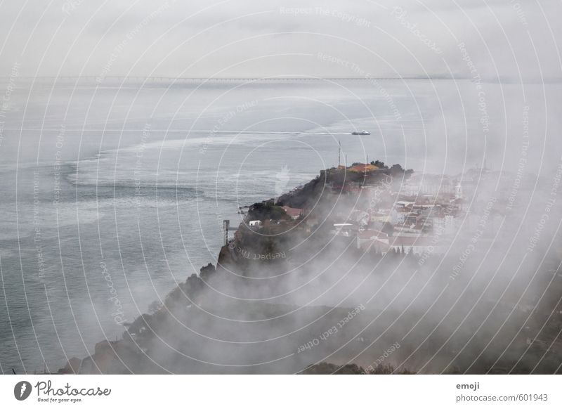 Suppe Umwelt Natur Landschaft Herbst schlechtes Wetter Unwetter Nebel Küste Meer trist grau Farbfoto Gedeckte Farben Außenaufnahme Luftaufnahme Menschenleer Tag