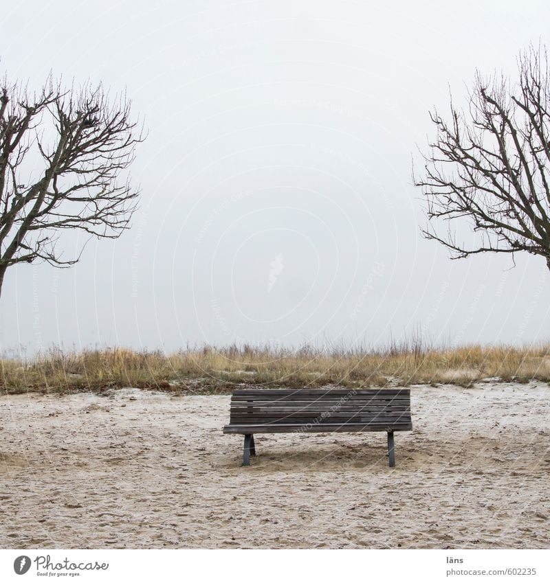 Sandbank ruhig Ferien & Urlaub & Reisen Tourismus Strand Meer Winter Winterurlaub Erholungsgebiet Himmel Wolken Baum Ostsee Stranddüne braun Beginn