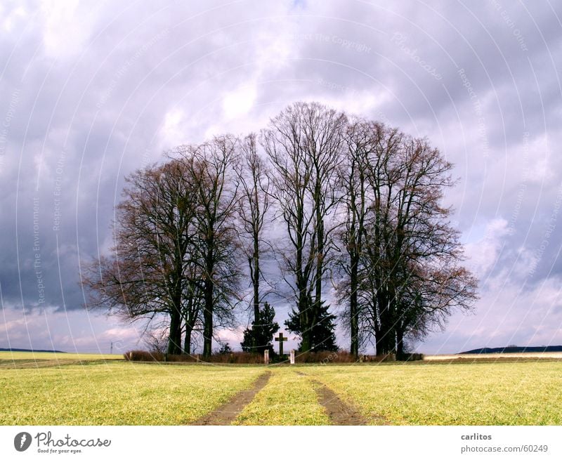 der Fluch der Serie ... schwarz drohend dunkel Grab feucht Grabmal Gruft Denkmal erinnern Erinnerung Ewigkeit Trauer Baum Herbst Wäldchen Wolken Hoffnung Rücken