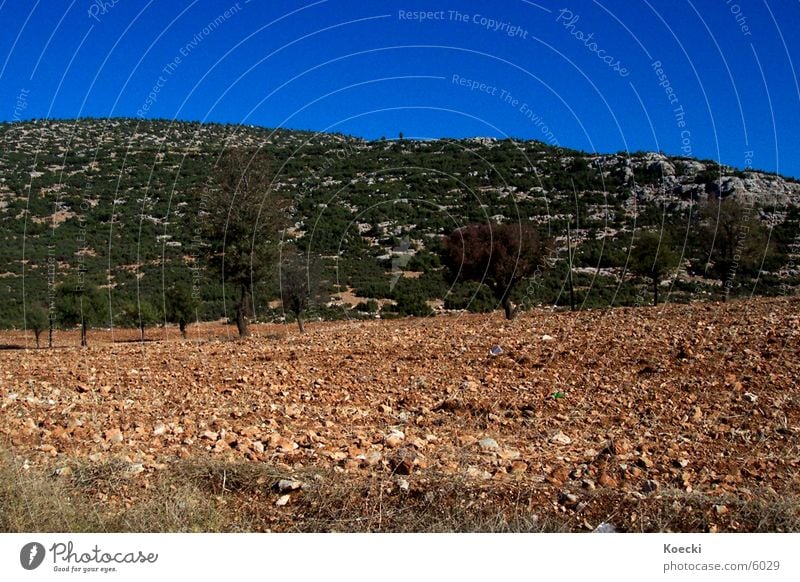 Türkische Einöde Türkei Baum Türken Feld blau steinig Stein Himmel