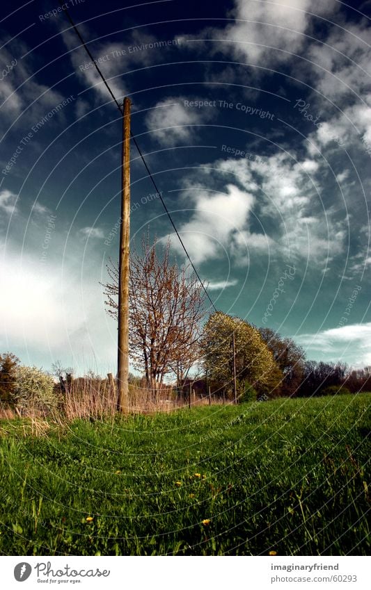 on a wire Strommast Länder Wolken Gras Wiese Himmel country Landschaft