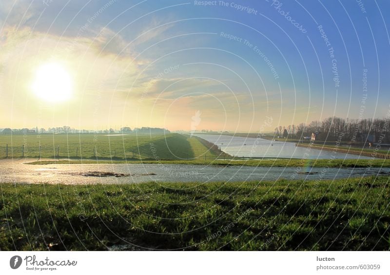 Deich | Polder am Kanal in Morgensonne | Nordsee Umwelt Natur Landschaft Erde Wasser Himmel Horizont Winter Schönes Wetter Gras Küste Erholung blau gelb grün