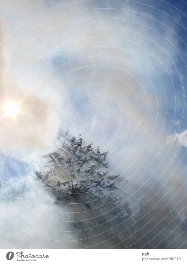 Rauch am Lagerfeuer steigt in die Luft Farbenspiel Feuerstelle Brand sonne scheint durch den feuernebel himmel ist vernebelt rauch am himmel sonne ist stärker