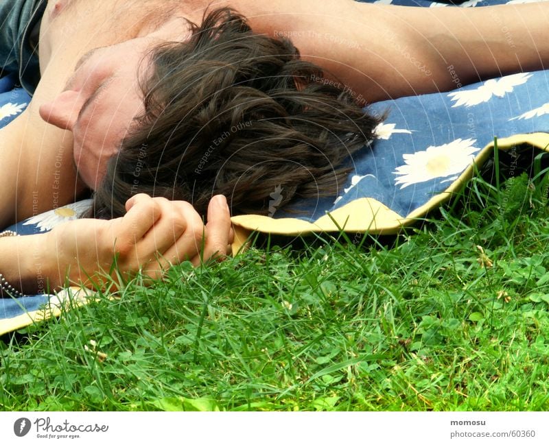 summerfeeling Wiese Gras Mann Hand Finger Oberkörper maskulin Frühling genießen Picknick Decke Kopf Haare & Frisuren spmmer liegen Erholung