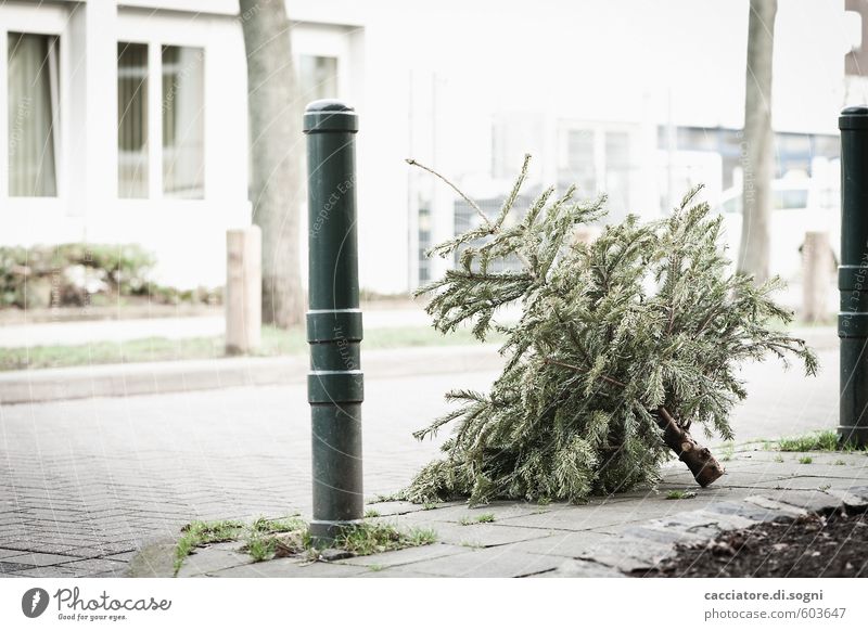 vorbei Winter Baum Weihnachtsbaum Gebäude Straße Pfosten einfach hell trist grau grün weiß Enttäuschung Einsamkeit Verzweiflung verschwenden Ende