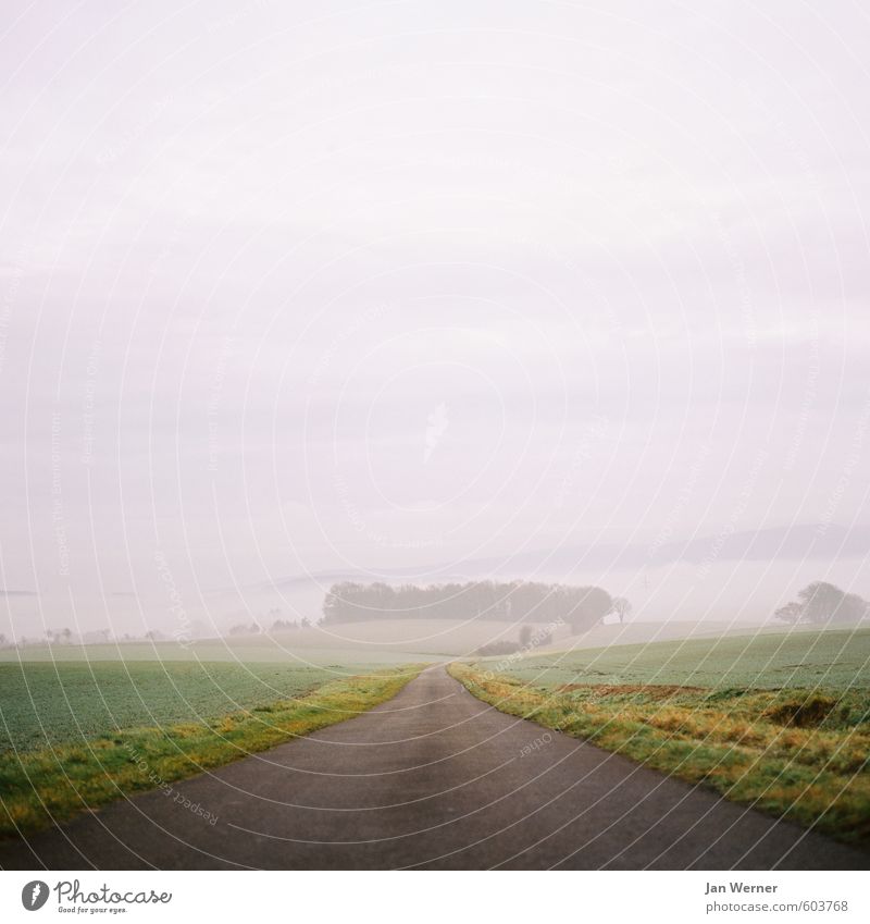 Da lang! Wohlgefühl Erholung Meditation wandern Erfolg Ruhestand Umwelt Landschaft Wolken Horizont Herbst Winter Wetter schlechtes Wetter Nebel Feld Dorf