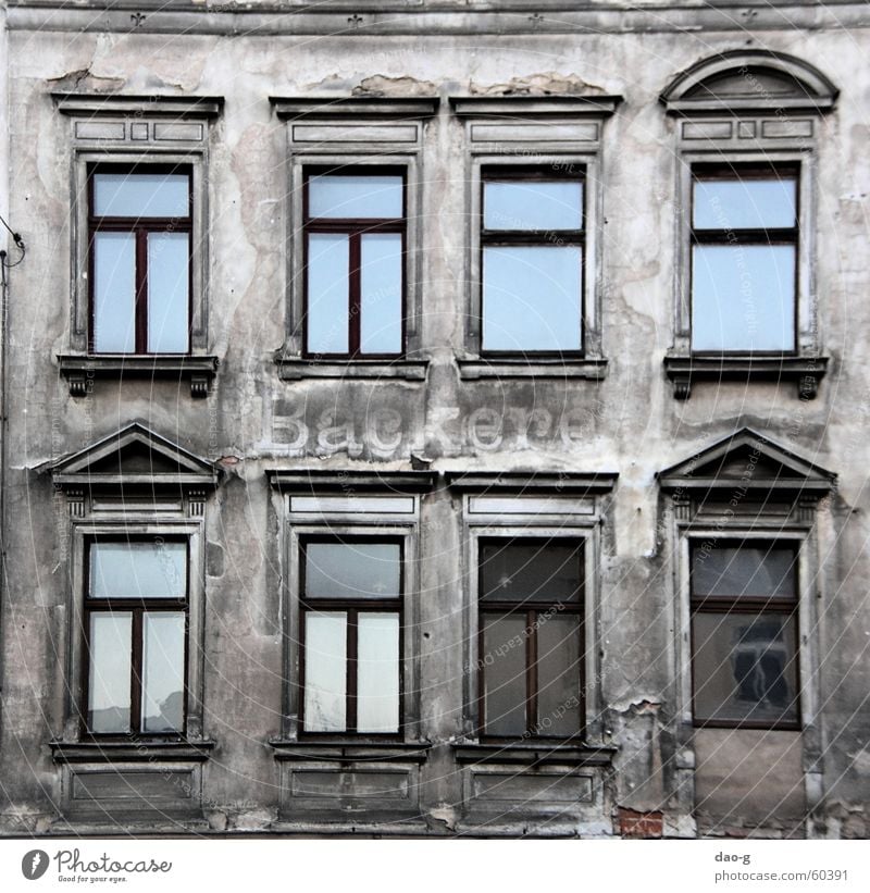 bäckerei a.d. Bäcker Bäckerei Haus Fassade Mauer Putz Ruine Fenster Dresden Neustadt Einsamkeit