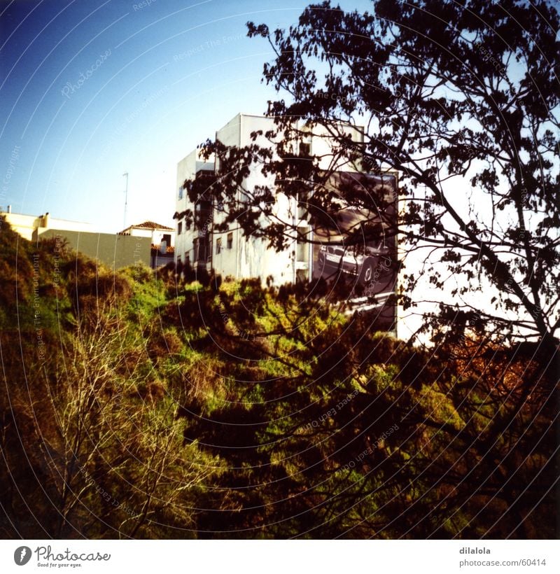 window wiew Madrid Lomografie Himmel landscape nature-building c-41 tree sky