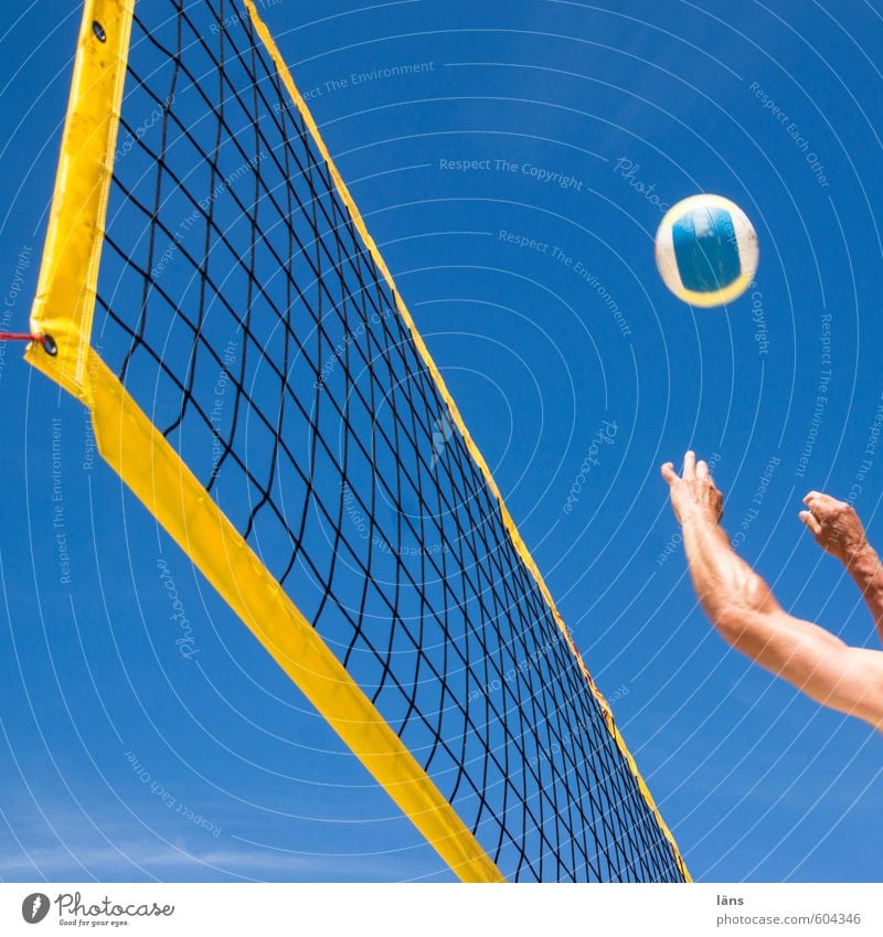 Sommer am Strand ° l Spiel Satz Sieg Freizeit & Hobby Spielen Sommerurlaub Sonne Sport Fitness Sport-Training Ballsport Sportler Volleyball Mensch Arme Hand 1