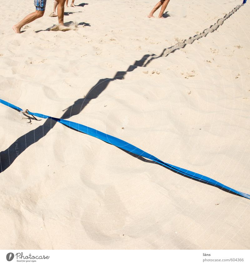 Spielfeldrand Sommer Strand Ballsport Sportler Volleyball Mensch Beine Fuß 3 Menschengruppe Sand Ostsee kämpfen laufen Spielen braun Freude Erwartung