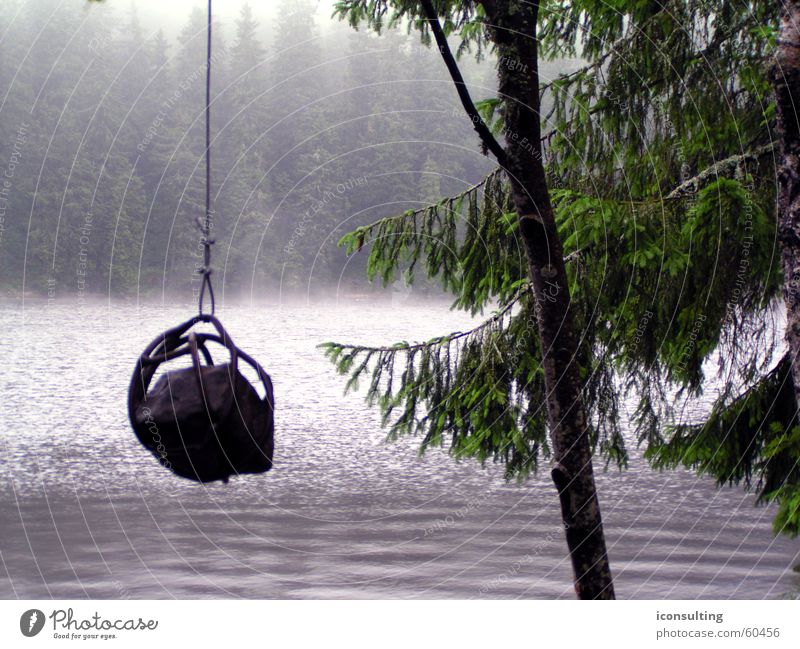 Hangman See Mummelsee Morgen Tanne Wellen Nebel Außenaufnahme Herbst Wasser wasserspiele hangman Stein Morgendämmerung Seil Landschaft