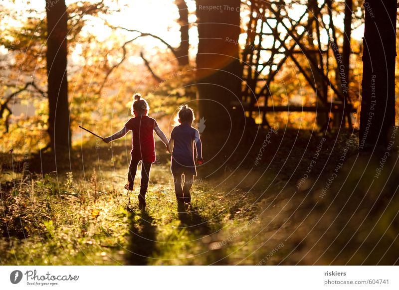 just the way you are iv Mensch feminin Kind Mädchen Geschwister Schwester Kindheit 2 3-8 Jahre Umwelt Natur Herbst Schönes Wetter Wald entdecken festhalten