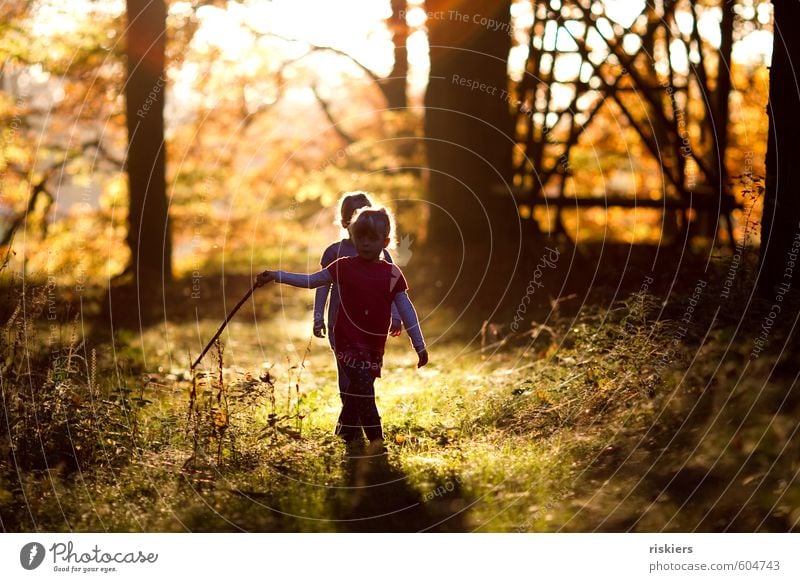 just the way you are vi Mensch feminin Kind Mädchen Geschwister Schwester Kindheit 2 3-8 Jahre Umwelt Natur Herbst Schönes Wetter Wald entdecken leuchten